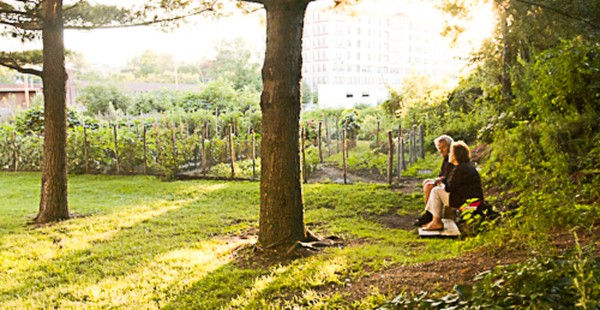 Man and woman on bench in garden