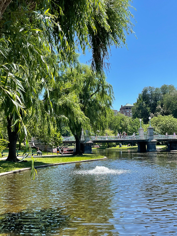 Boston Public Gardens