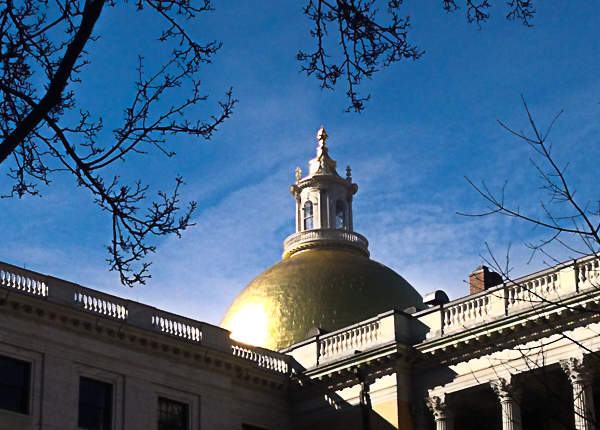 The State House from Ashburton Gate side