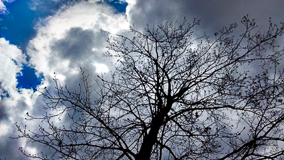 Blue sky, bright and dark clouds behind bare tree