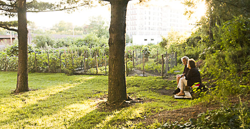 Couple on bench under tree at sunset. "And none shall make them afraid."