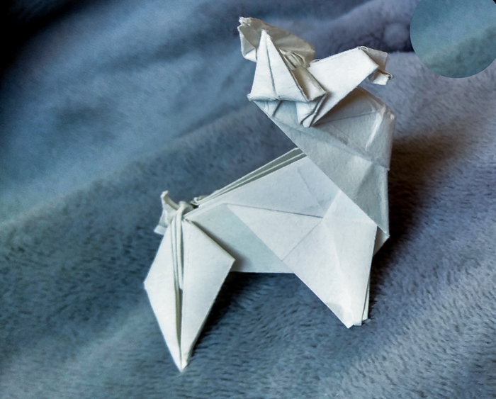 Photo: Bonny Zeh's story begins with her shopping for supplies to make origami like her folded paper dog.