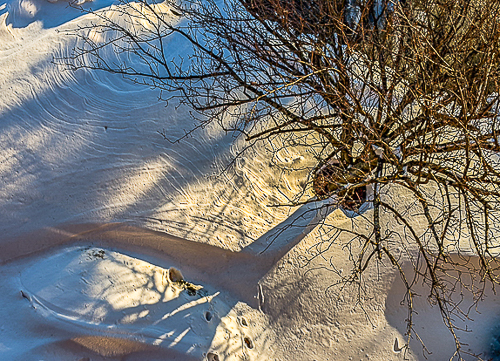 Looking down on tree with shadows on snow