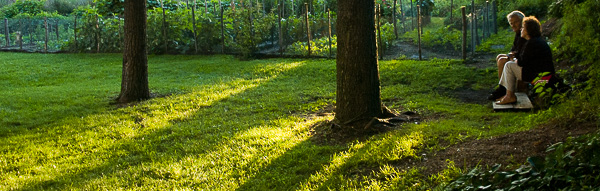 Man and woman on bench in garden at sunset